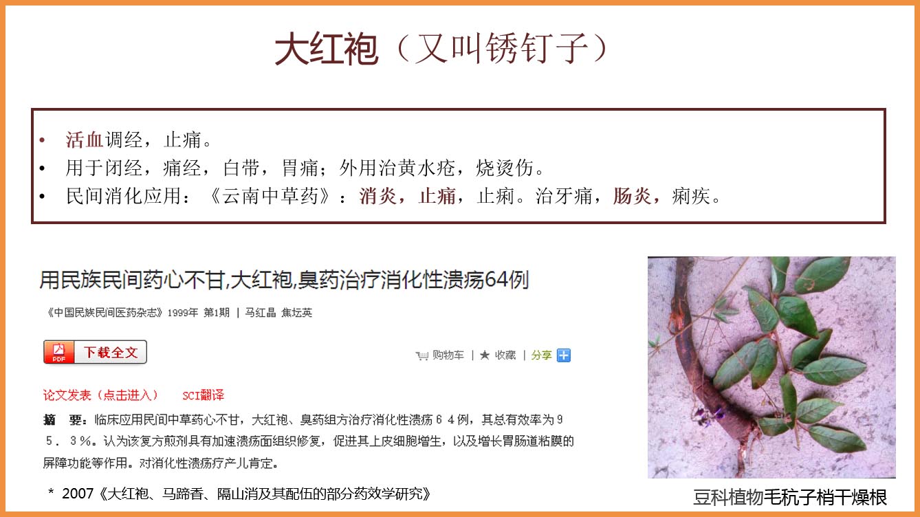 金胃泰網(wǎng)頁2.jpg