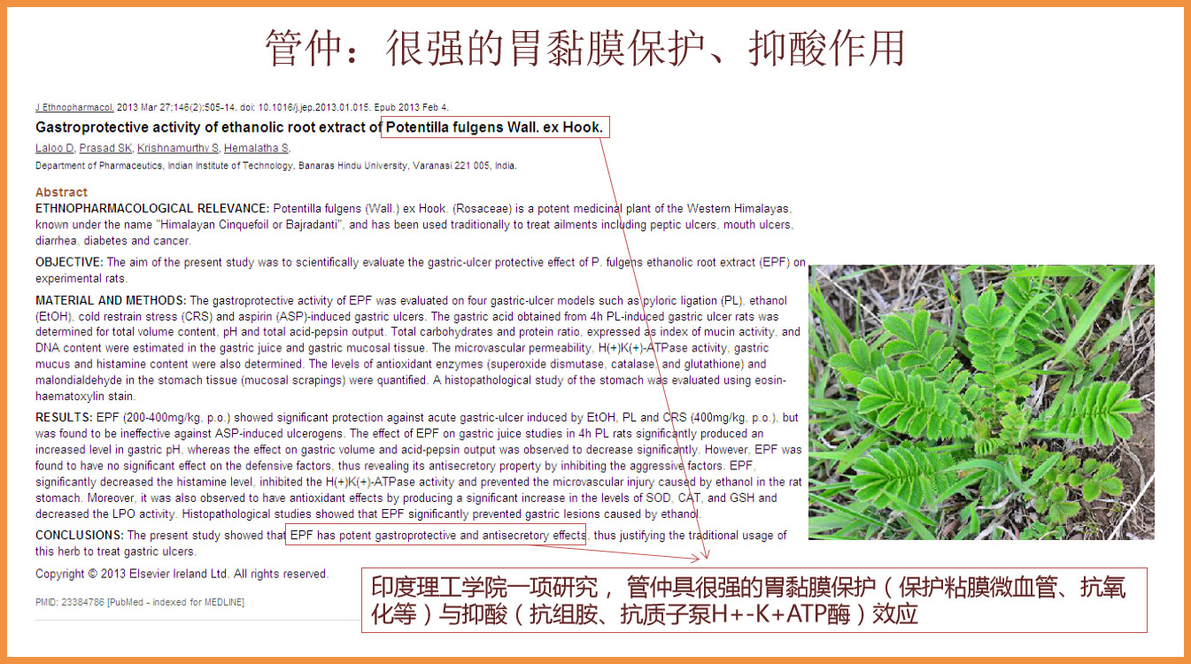 金胃泰網(wǎng)頁4.jpg