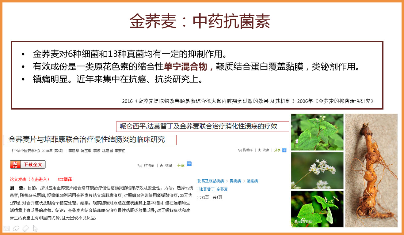 金胃泰網(wǎng)頁5.jpg